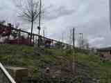 Tidied area of grass with planted trees